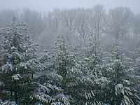 Winter view, 1999
