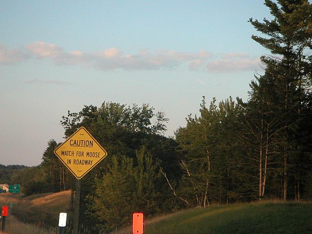 Moose Crossing