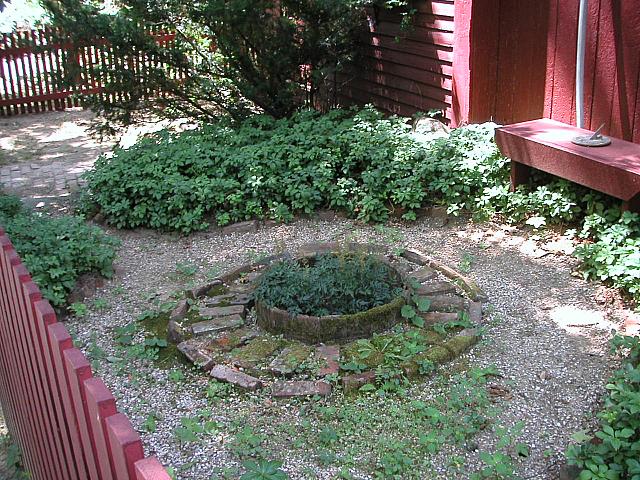 Herbs at Frye's Mill
