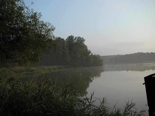 Lum's Pond