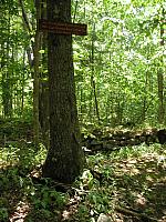 Old Bond homestead sign