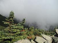 Mt Washington Ascent