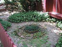 Herbs at Frye's Mill