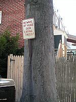 Sign-eating tree